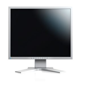 21” LED EIZO S2133-1600×1200,IPS,420c,DP,USB,piv,G